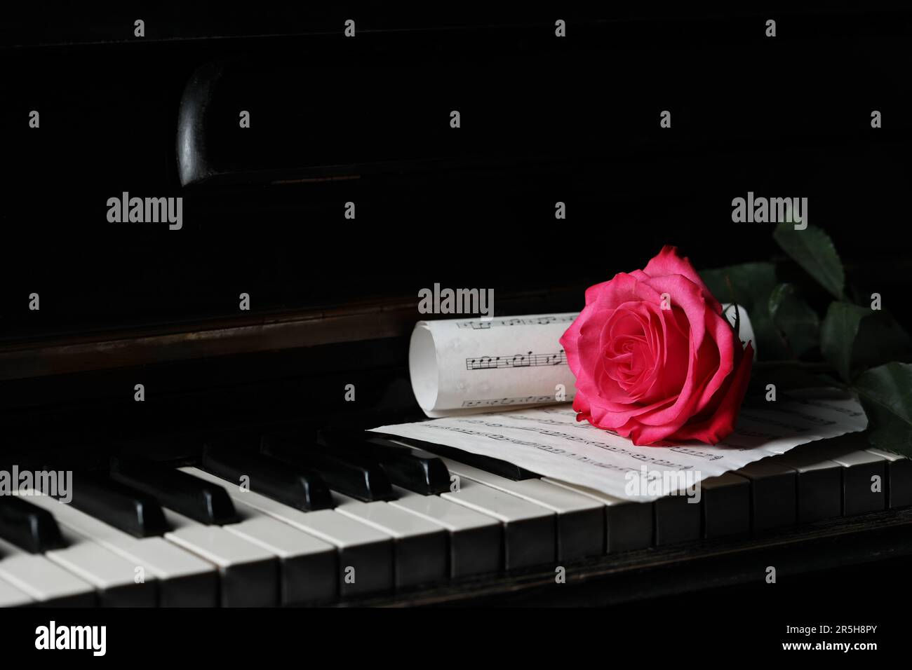 Pink Color Rose Note Beautiful pink rose and musical notes on piano keys Stock Photo - Alamy