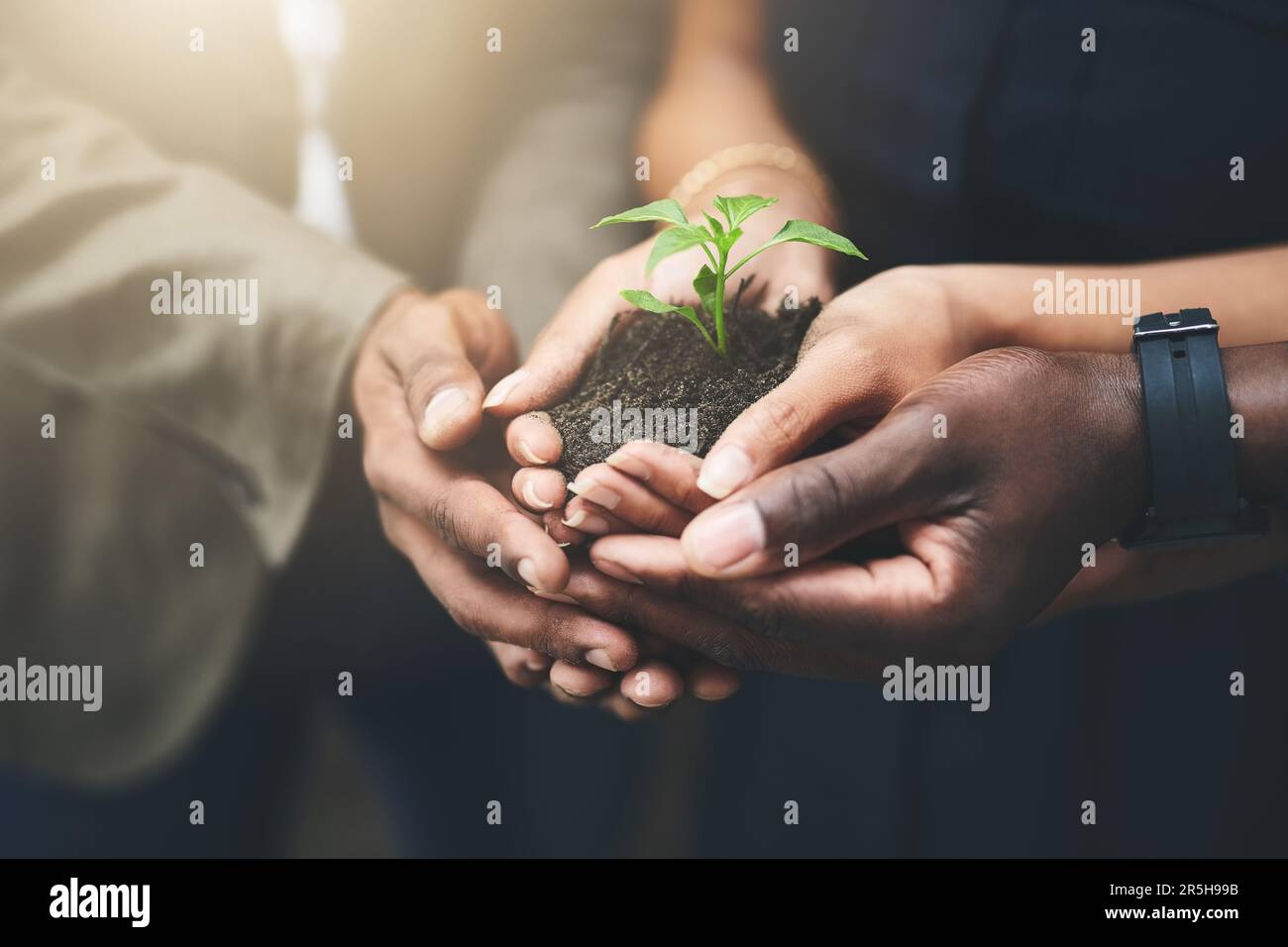 Grow something green together. a group of people holding plants growing out of soil. Stock Photo