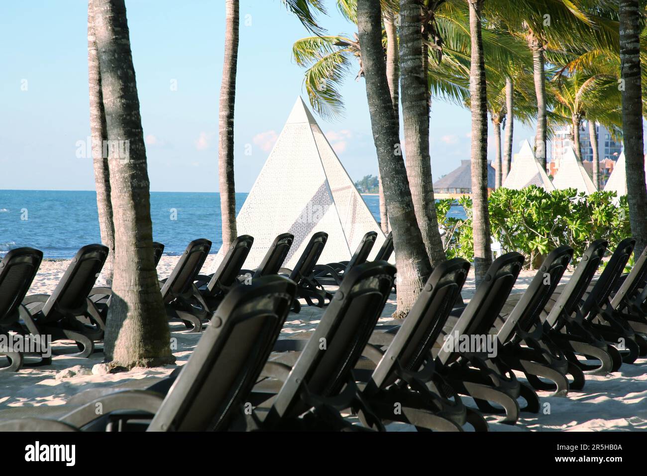 Many empty sunbeds among palm trees on sandy beach near sea Stock Photo