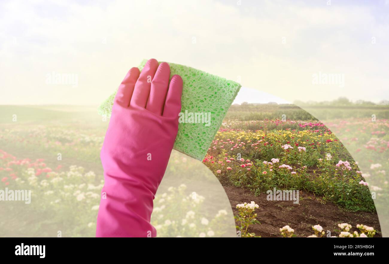 Spring cleaning. Woman washing window, closeup. View on field with beautiful flowers through clear glass Stock Photo