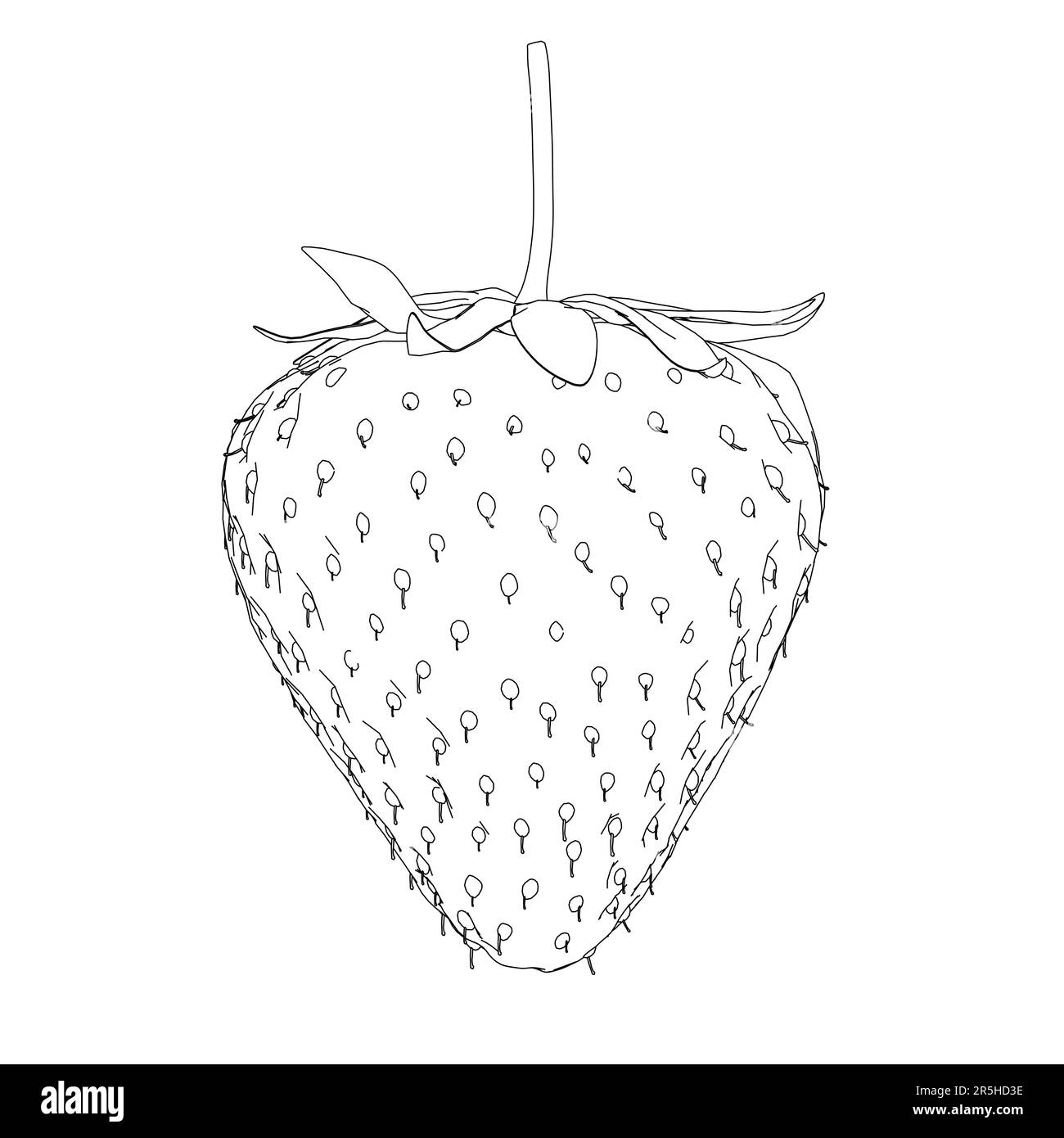 Strawberry outline from black lines isolated on white background. 3D