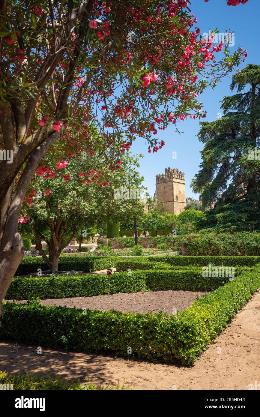 Alcazar de los Reyes Cristianos Gardens - Cordoba, Andalusia, Spain ...