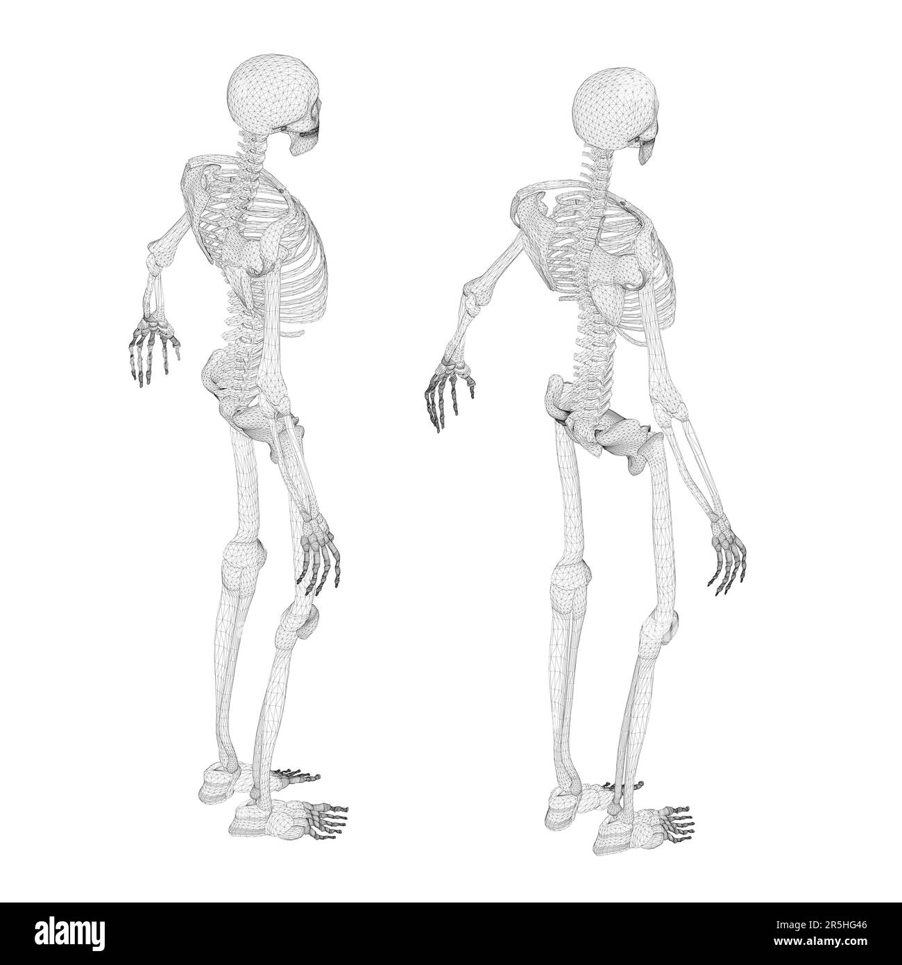 Set with human skeleton wireframe from black lines isolated on white background. Isometric view. 3D. Vector illustration. Stock Vector