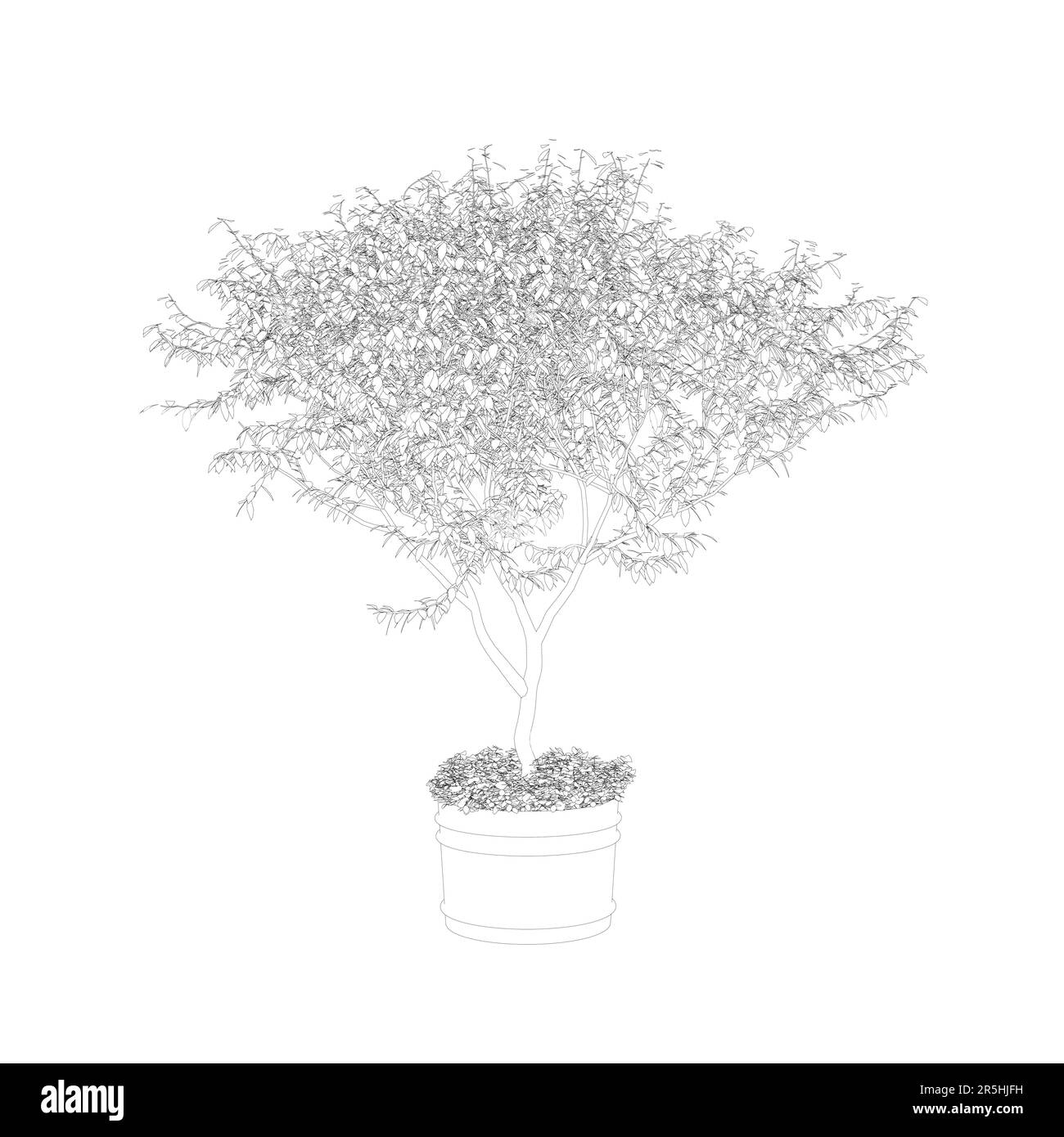 Outline of a small decorative tree in a pot from black lines isolated on a white background. Vector illustration. Stock Vector