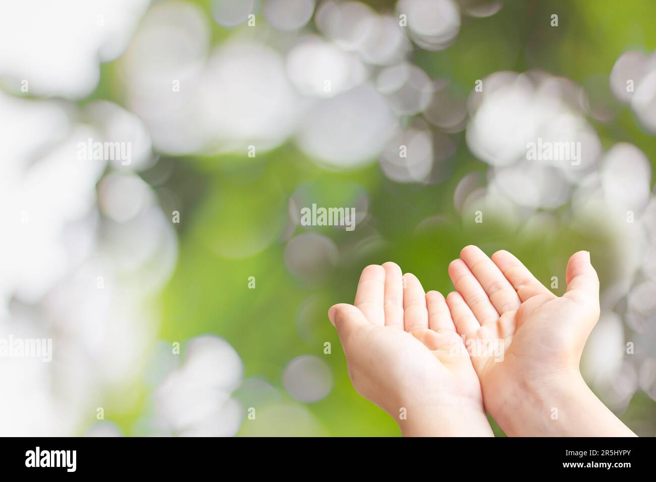Closeup of child open two empty hands with palms up for pray to God and  blessing on green blur background Stock Photo - Alamy