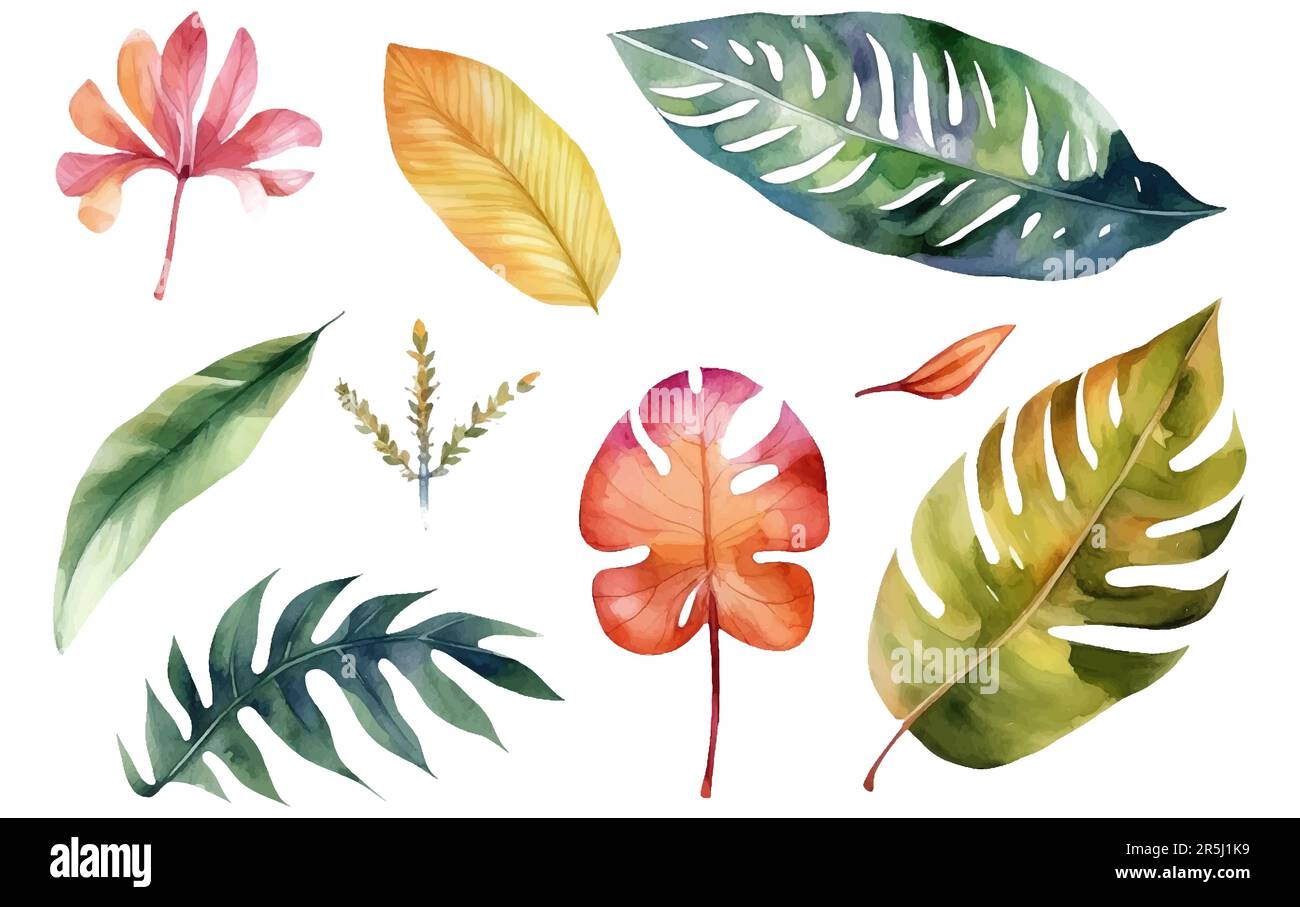 watercolor set vector illustration of tropical flowers isolated on ...