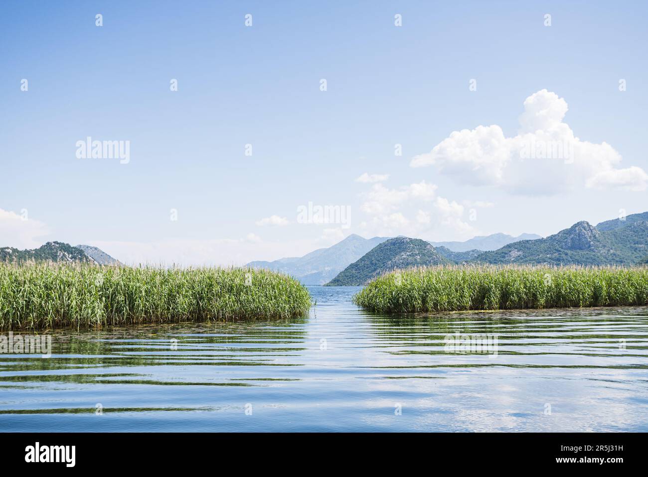 A gap between the reeds on River Crnojevica leads to Lake Skadar in Montenegro surrounded by mountain peaks. Stock Photo