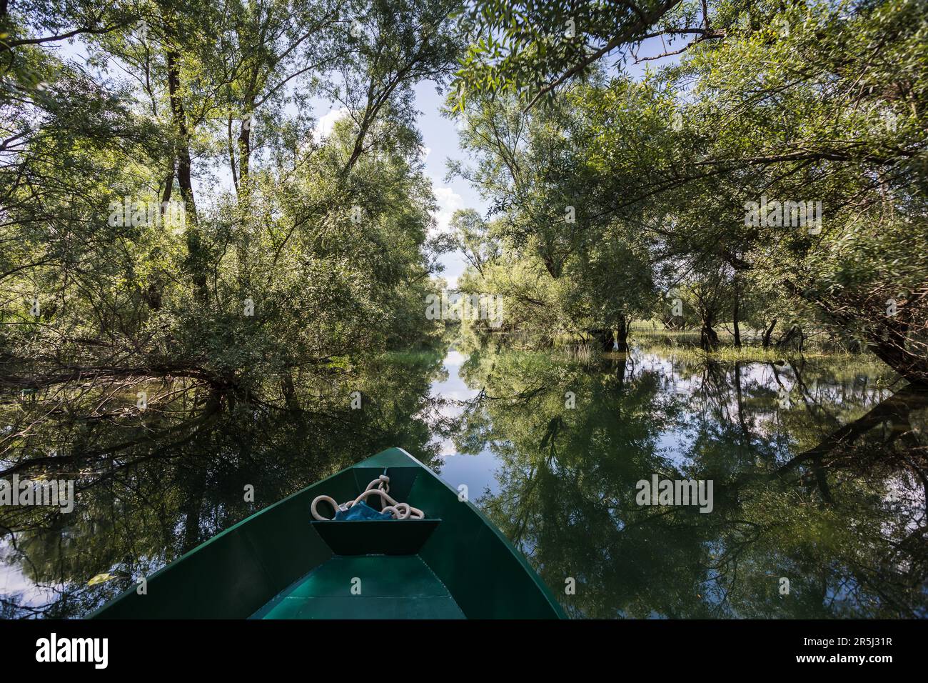 A secluded section off Lake Skadar in Montenegro surrounded in a rainforest like environment. Stock Photo