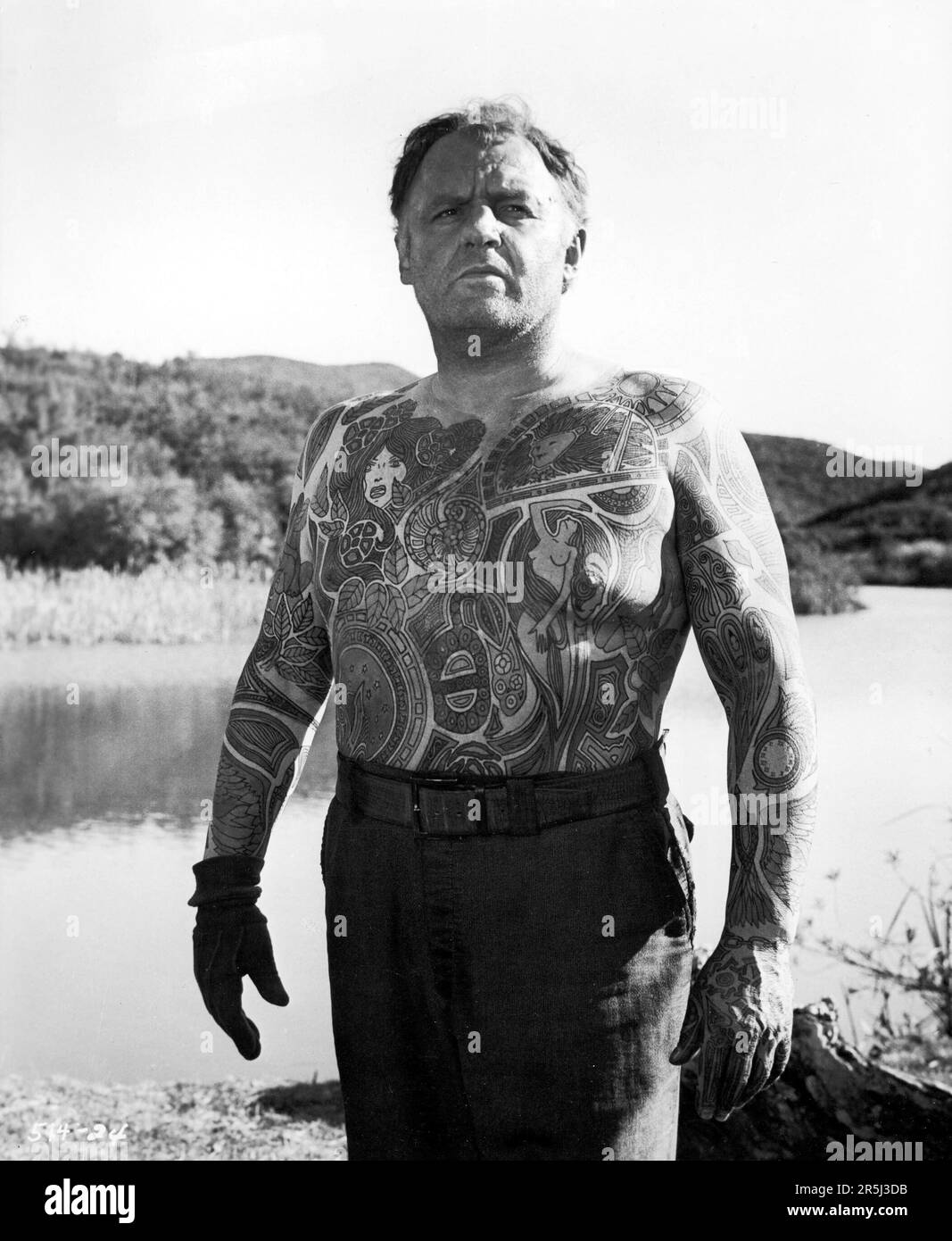 The illustrated man 1969 rod steiger hi-res stock photography and