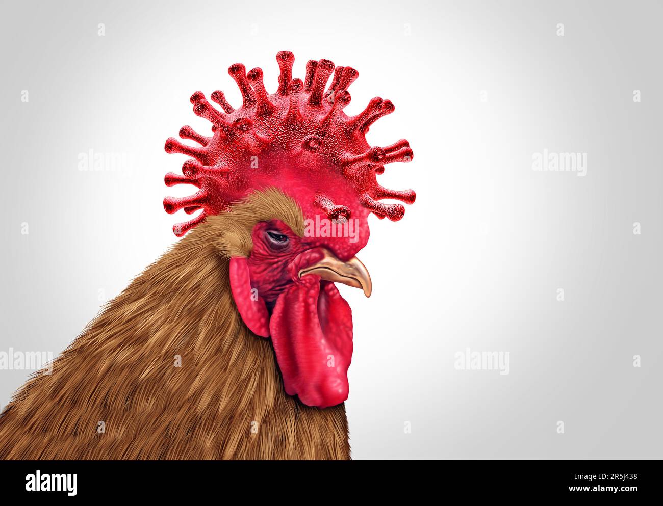 Bird Flu Virus outbreak and Avian influenza crisis as a poultry viral infected as chicken livestock as a health risk for global infection outbreaks Stock Photo