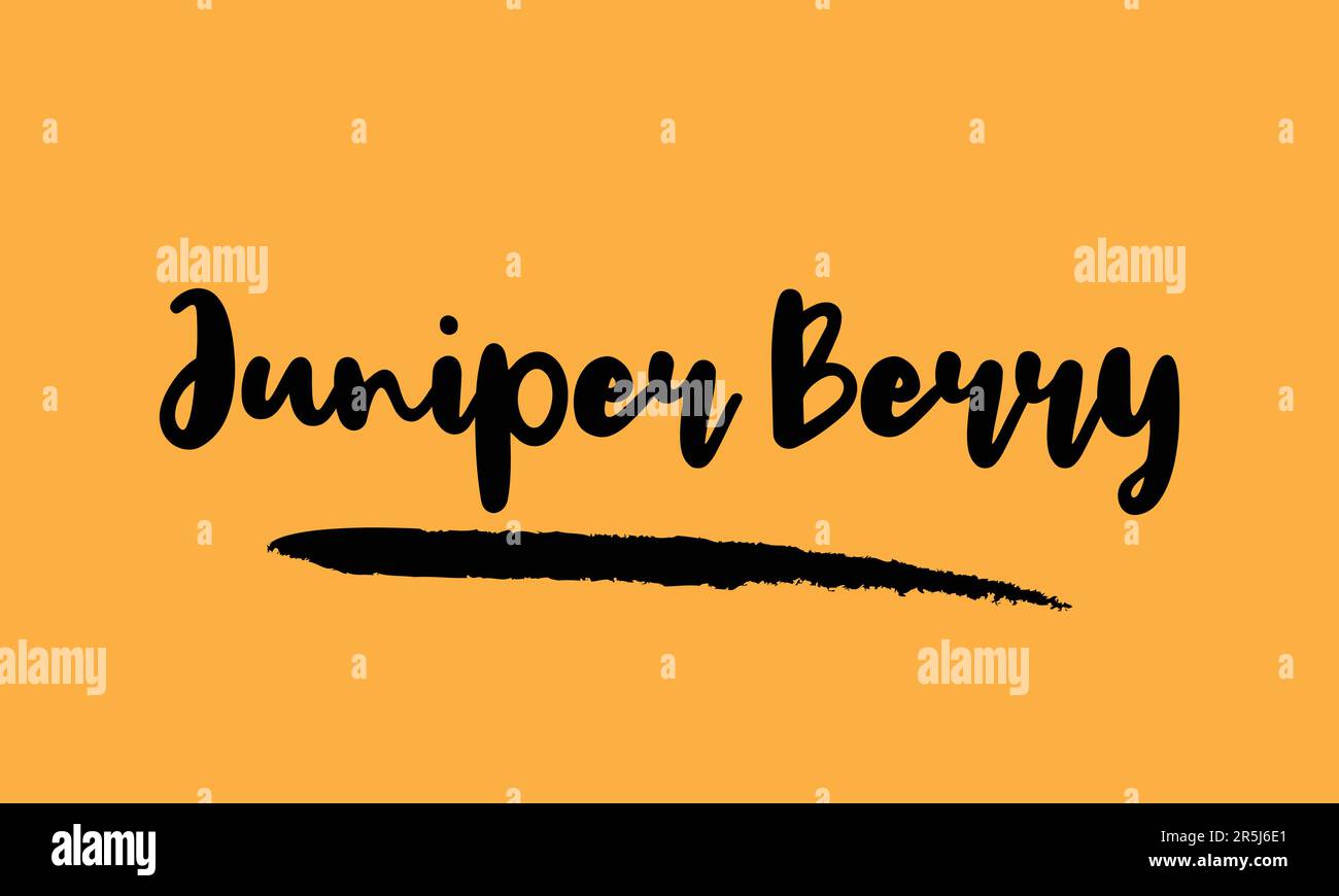 text-typography-stylish-lettering-phrase-vector-design-stock-vector