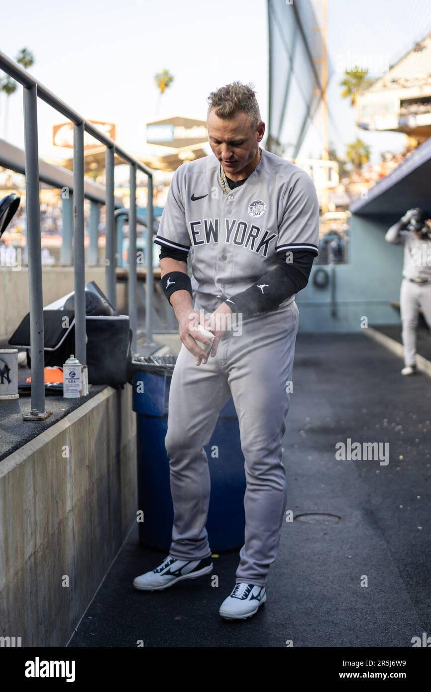 New York Yankees third baseman Josh Donaldson (28) during a MLB