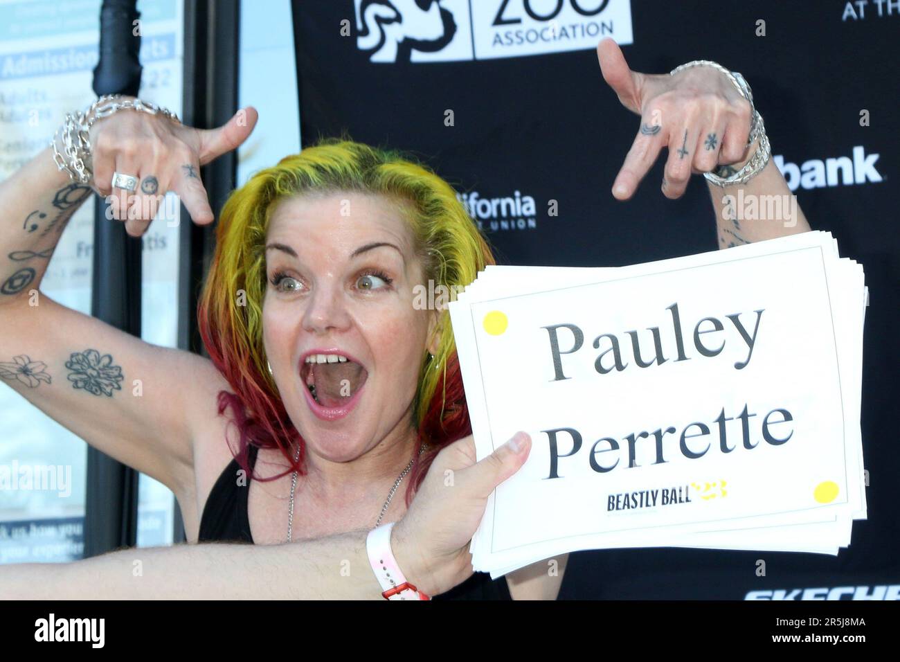 Los Angeles, CA. 3rd June, 2023. Pauley Perrette at arrivals for