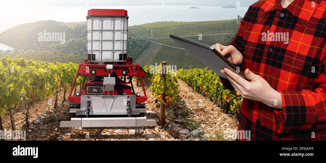Farmer controls autonomous robot sprayer in a vineyard. Smart farming concept Stock Photo