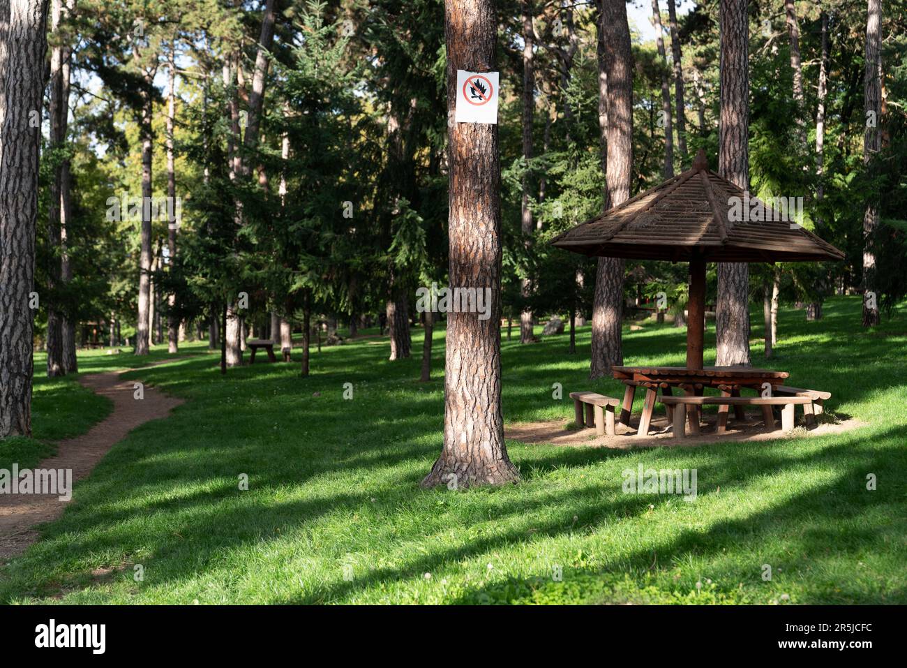 Green park path walk summer hi-res stock photography and images - Alamy