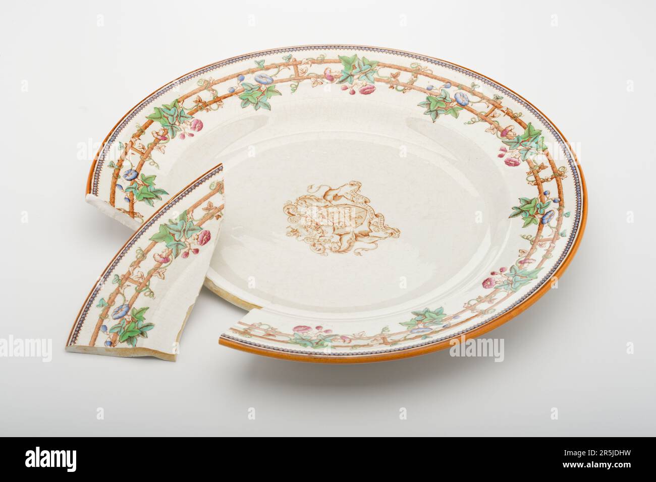 A broken plate. A family heirloom thats smashed. Crockery that was
