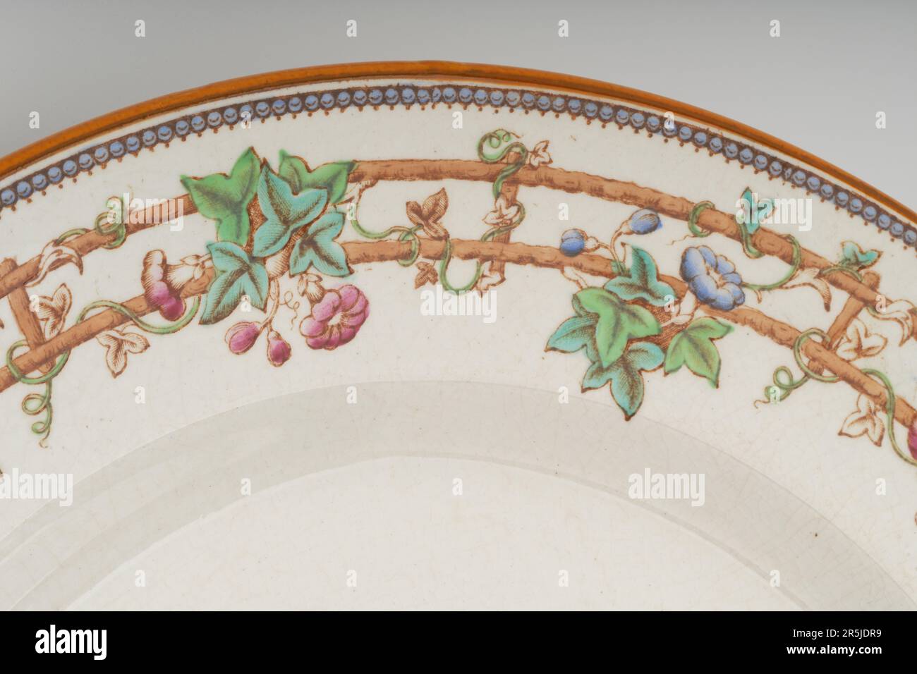 Fine detail of a china clay dinner plate. Painted flowers and trellis work. Morning glory climbing vine flowering plant. Stock Photo