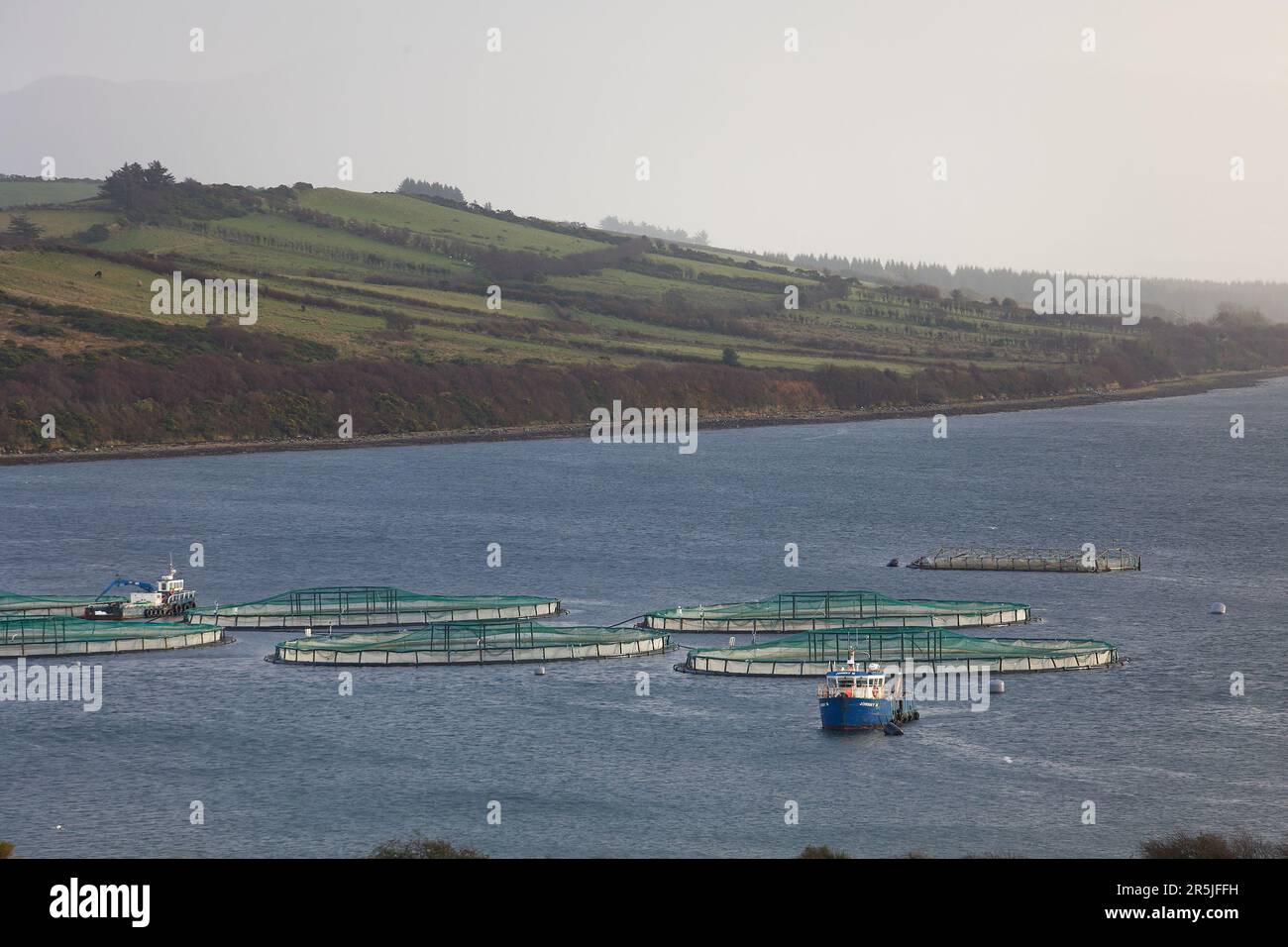 Salmon fish farm. Hordaland, Norway Stock Photo - Alamy