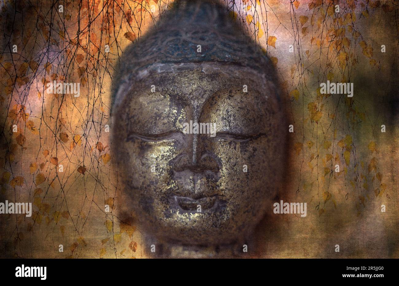 A head of antique Buddha statue on textured background Stock Photo