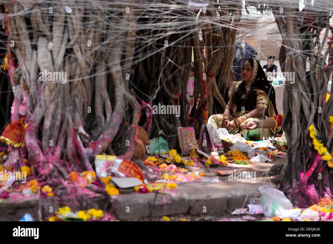 A married Hindu woman performs rituals near a banyan tree during Vat ...