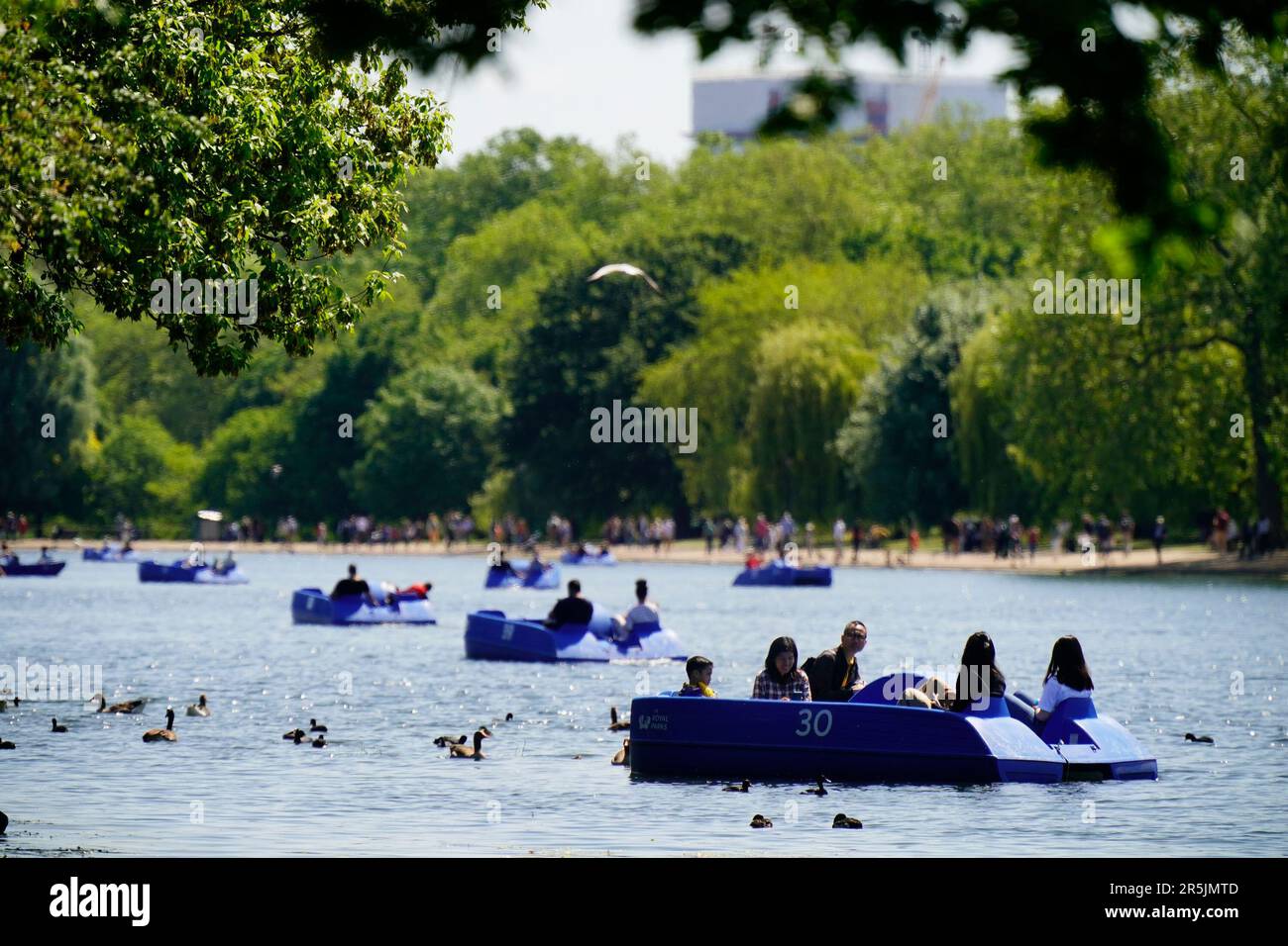 People ride pedalo and rowing boats in the hot weather on the