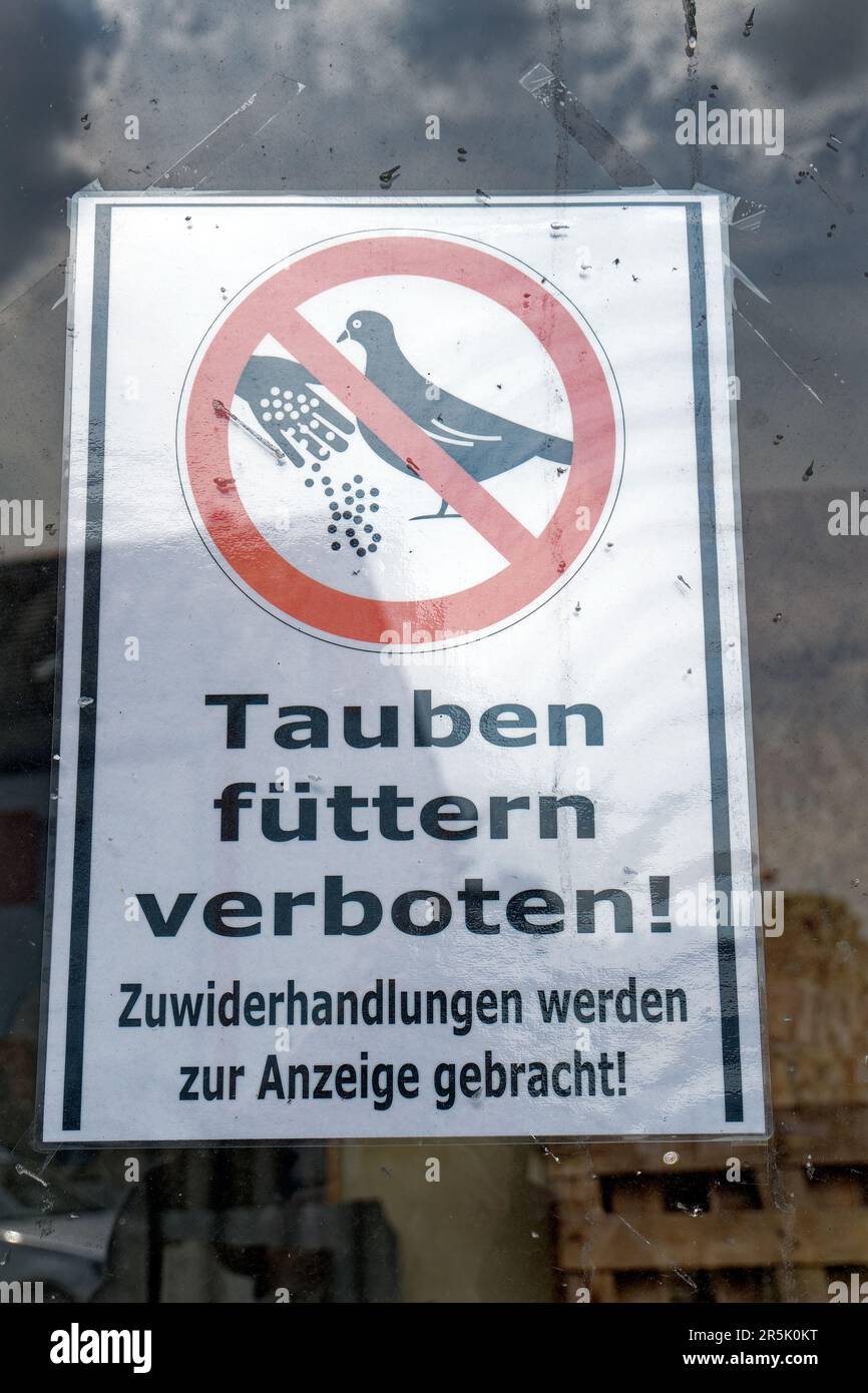 Sign prohibiting feeding pigeons Stock Photo Alamy