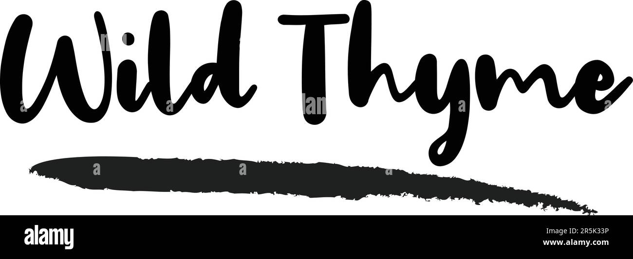 Stylish Text Typography Lettering Phrase Vector Design Stock Vector ...