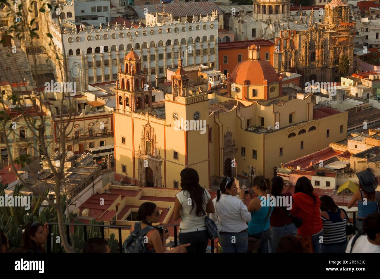 Historic town of Guanajuato, Cathedral Nuestra Senhora de Guanajuato and the university at night, Province of Guanajuato, Mexico Stock Photo