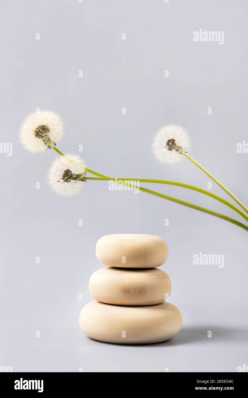 Concept scene stage showcase for new product, banner, promotion sale, cosmetic, presentation. Wood stones podium and soft fluffy dandelions with white Stock Photo