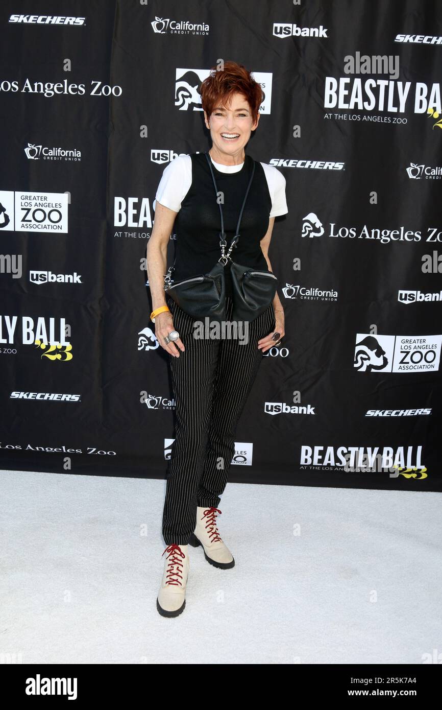 LOS ANGELES JUN 3 Carolyn Hennesy at the 2023 Beastly Ball at