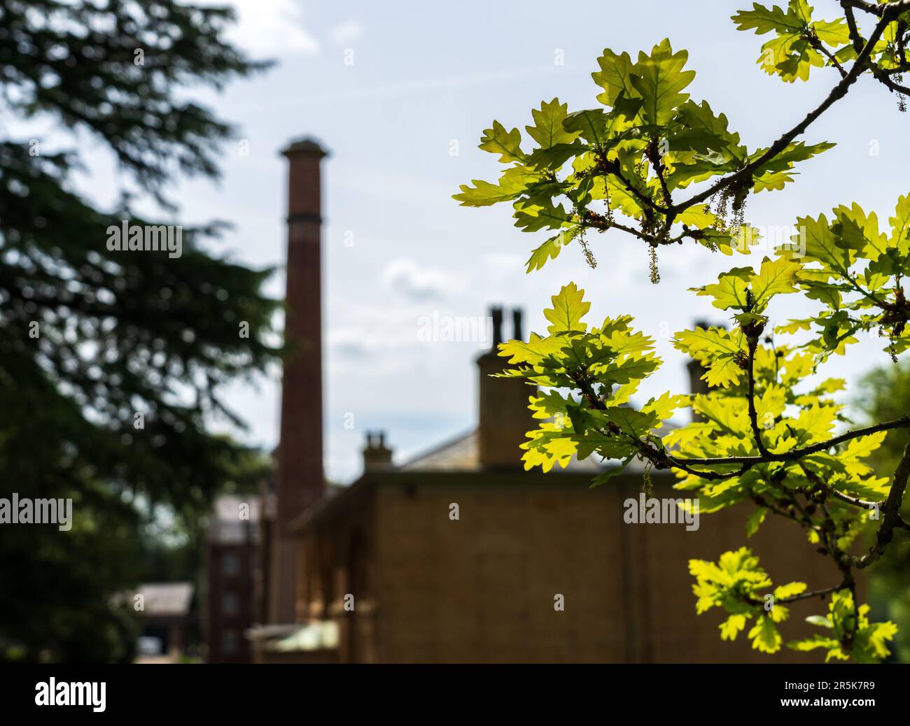 Exterior of restored cotton spinning and weaving mill in north of