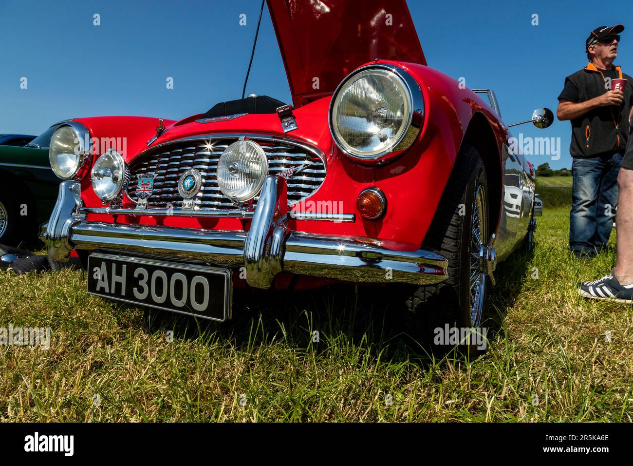 Austin Healey AH 3000. Classic car meet at Hanley Farm, Chepstow Stock