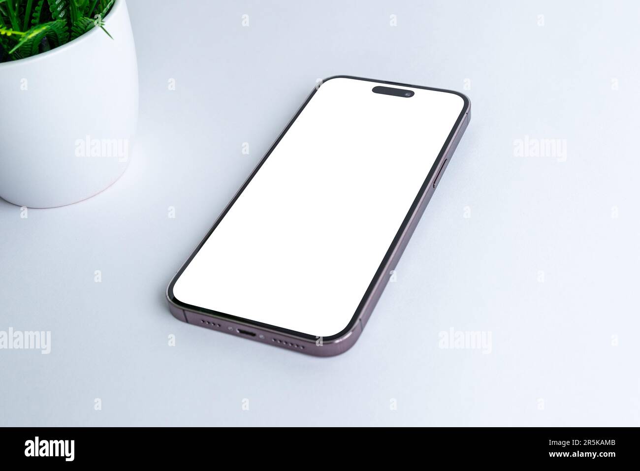 Isolated phone screen in white, for marketing content presentation. Stands out against a lush green plant in a close-up Stock Photo