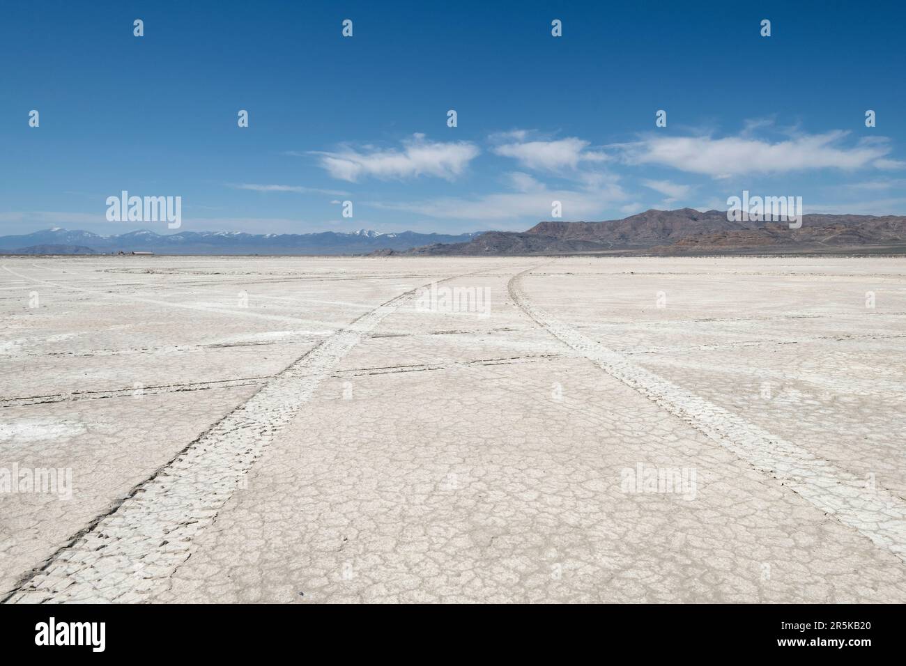 Usa, Utah. Tire tracks on Bonneville Salt Flats. Tracks heading towards Nevada. Stock Photo