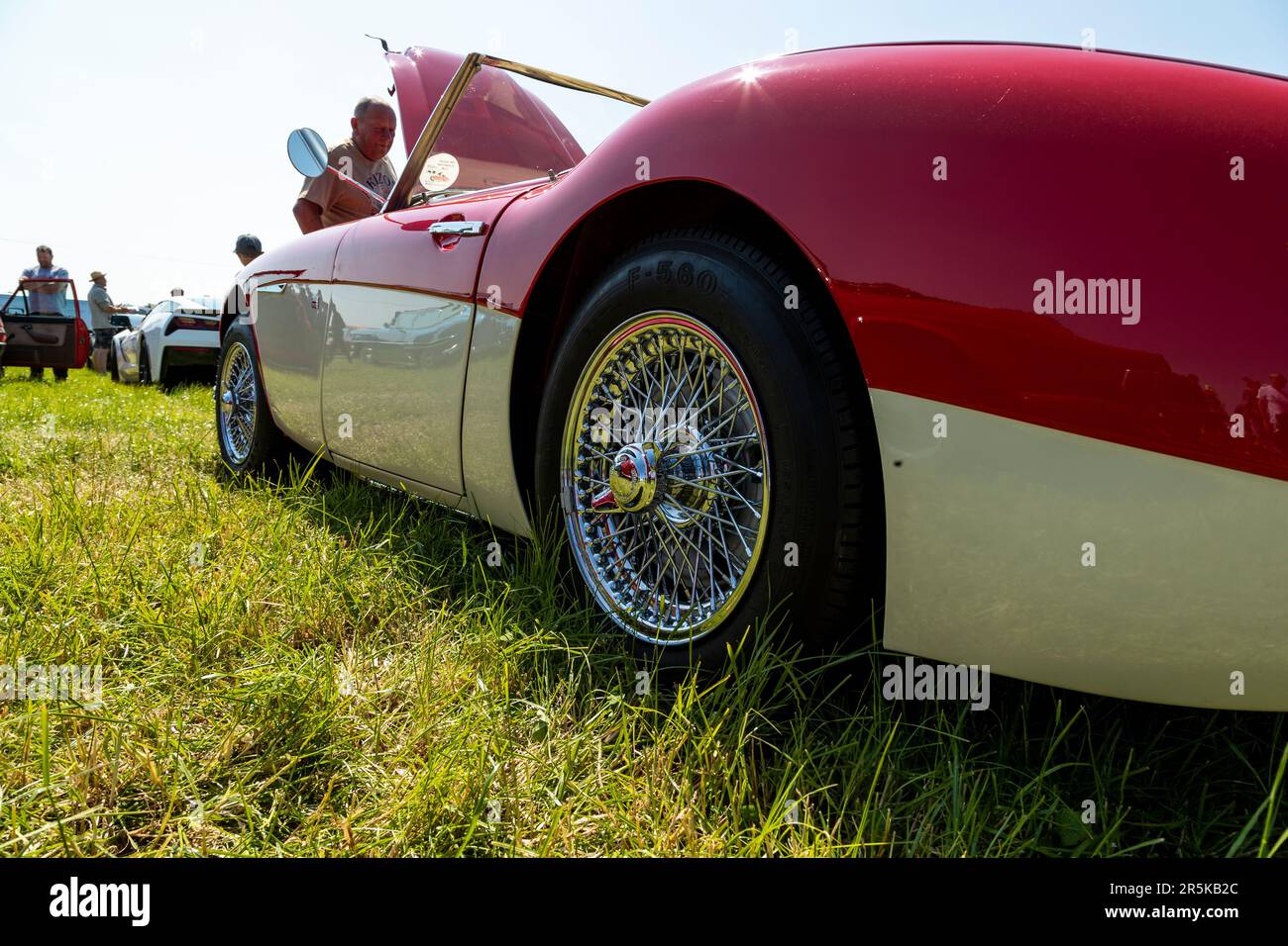 Austin Healey AH 3000. Classic car meet at Hanley Farm, Chepstow Stock Photo Alamy
