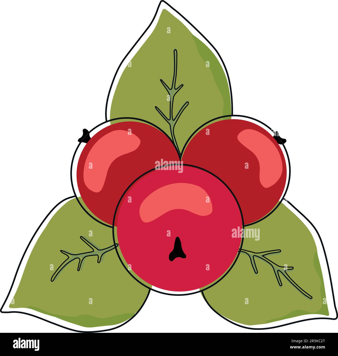 Cranberries Clipart