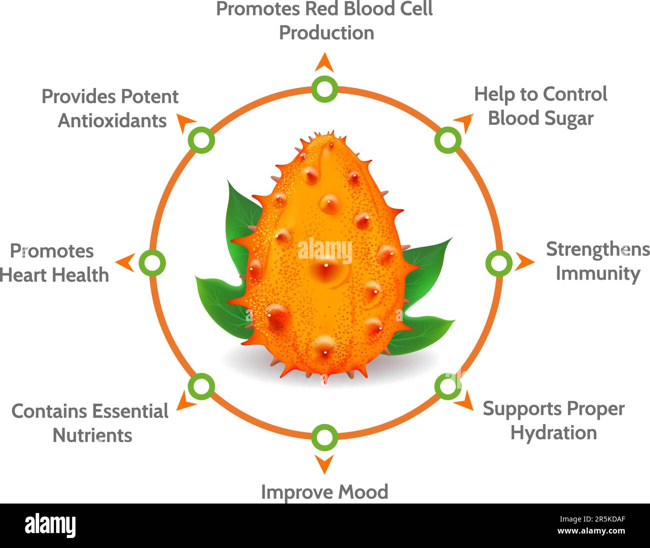 Kiwano melon benefits diagram. African horned cucumber properties