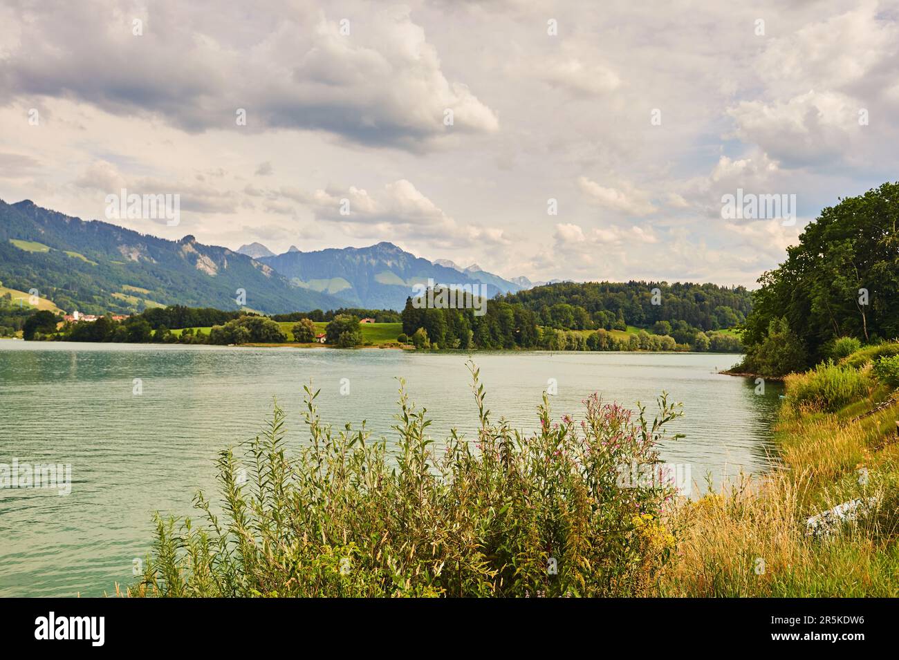 Beautiful landscape of Lake Gruyere in summer, canton of Fribourg, Switzerland Stock Photo
