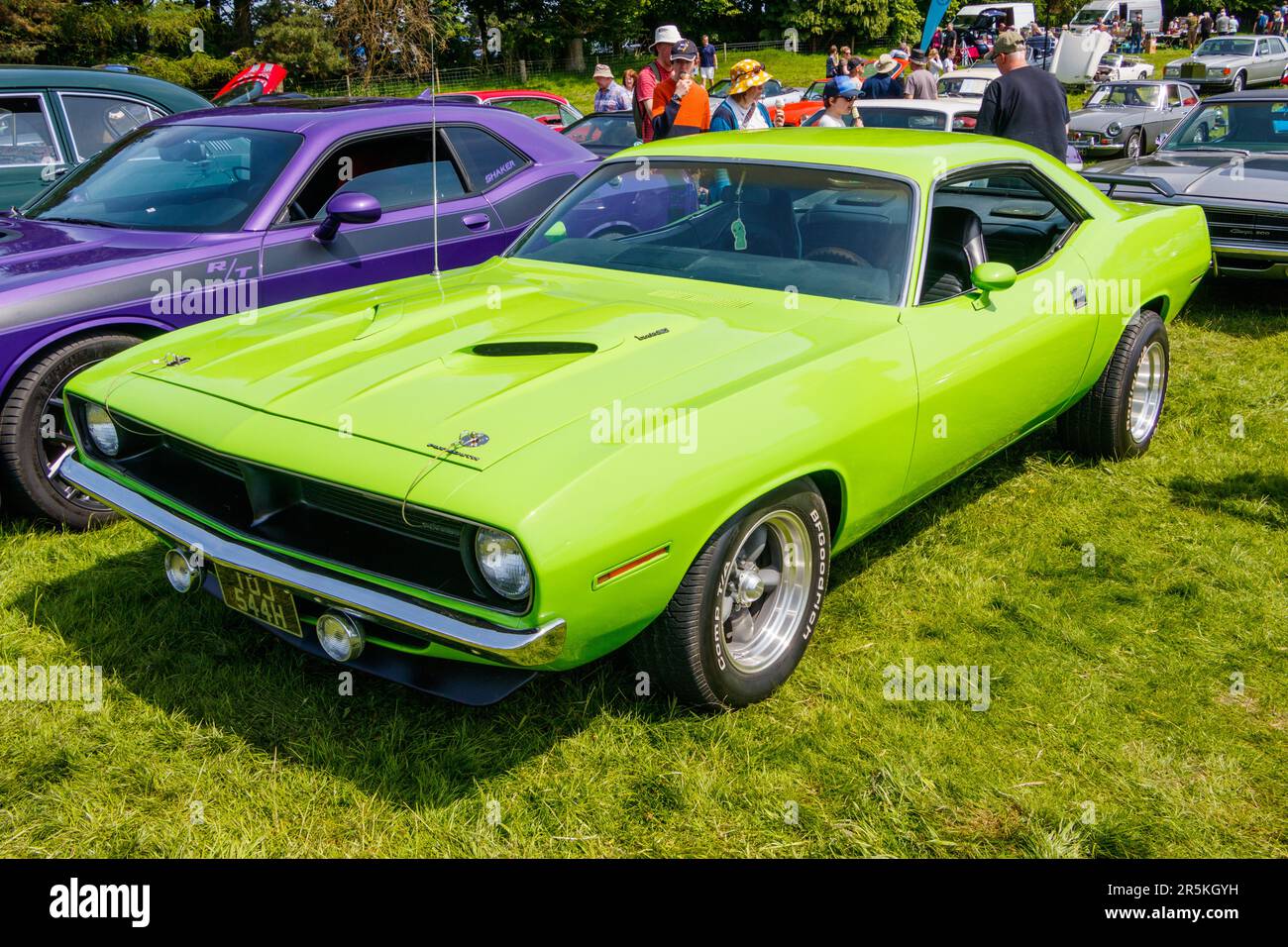 lime green vintage 1970 Plymouth Barracuda at vintage classic car show Capesthorne Hall Cheshire UK 2023 Stock Photo