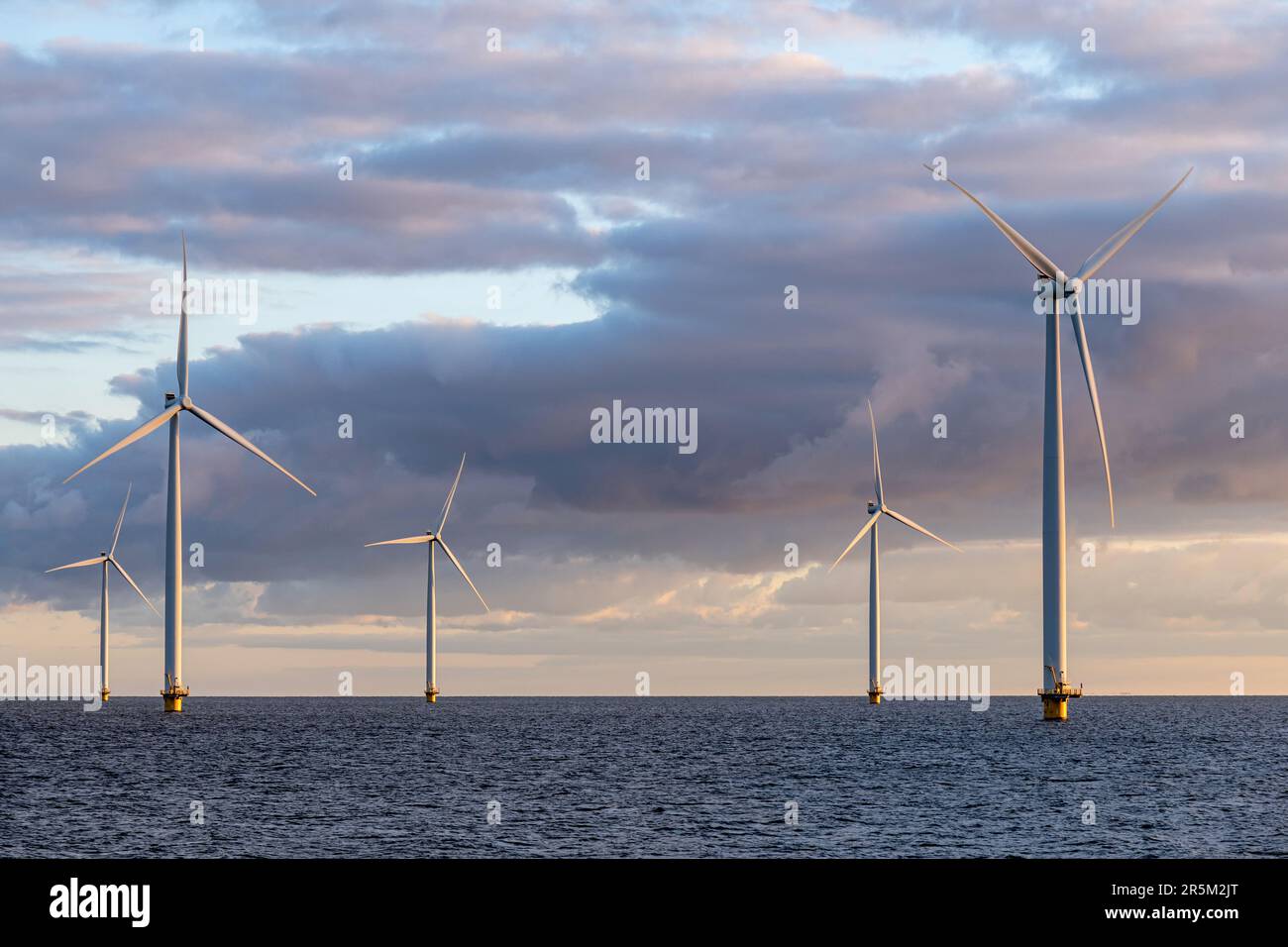 offshore wind farm at sunset Stock Photo - Alamy