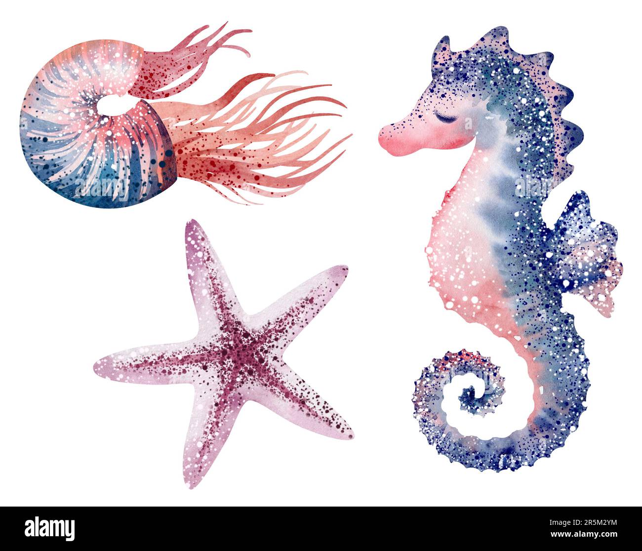 Watercolor illustrations of underwater marine animals octopus, seahorse, crab, starfish, jellyfish. Marine inhabitants of the underwater world. Stock Photo