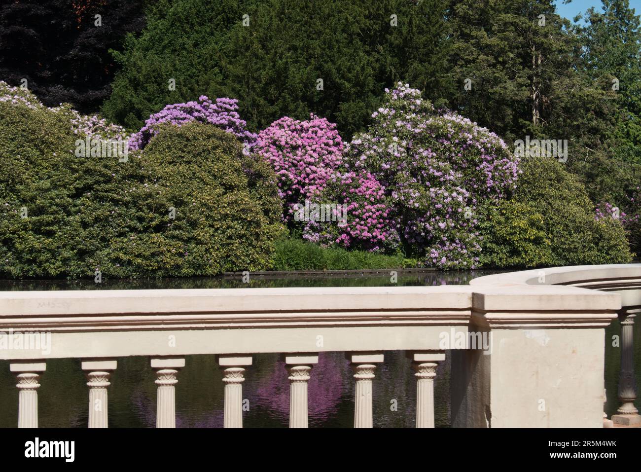 Rhododendron park germany hi-res stock photography and images - Alamy