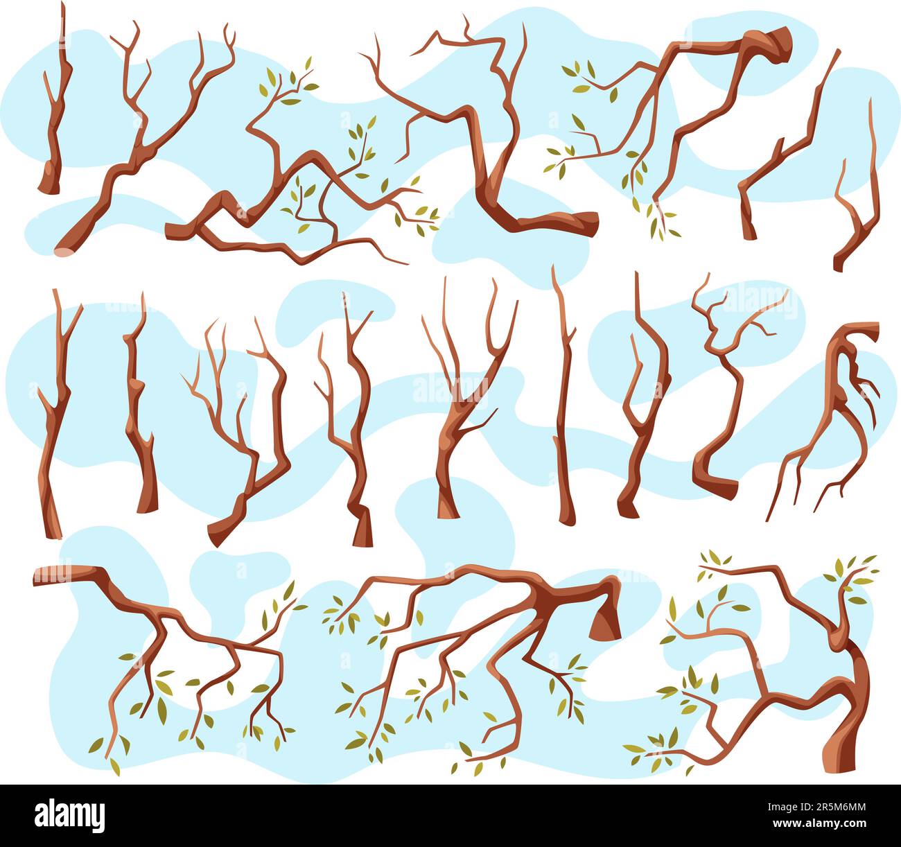 Wooden branches. Different types and shapes of tree branches exact