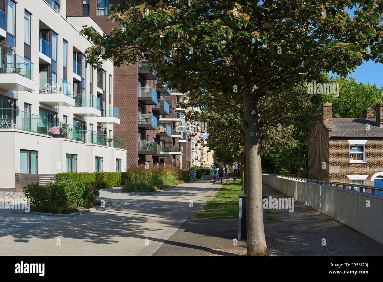 New apartments along East Parkside, Greenwich, London UK, in summertime Stock Photo Alamy