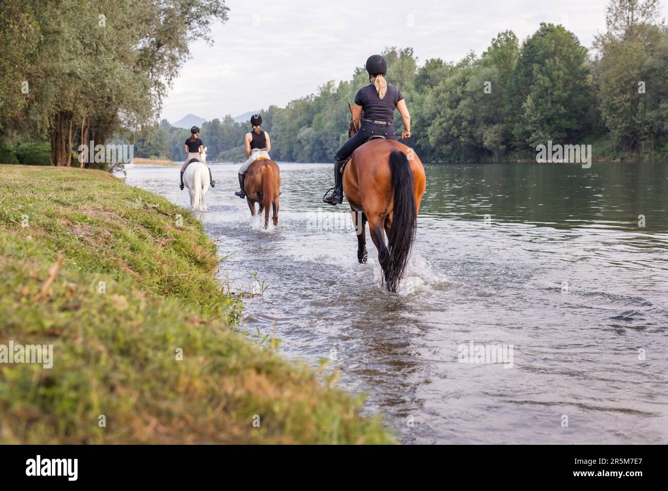 Three female riders crossing the shallow river by riding horses at the ...
