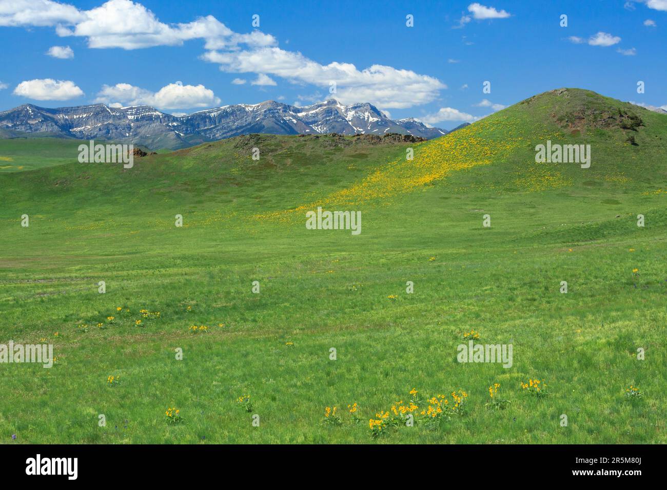 steamboat mountain and prairie hills near augusta, montana Stock Photo