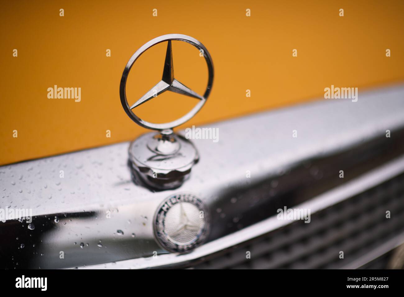 Auto-Fußmatten mit Namen für Mercedes W110