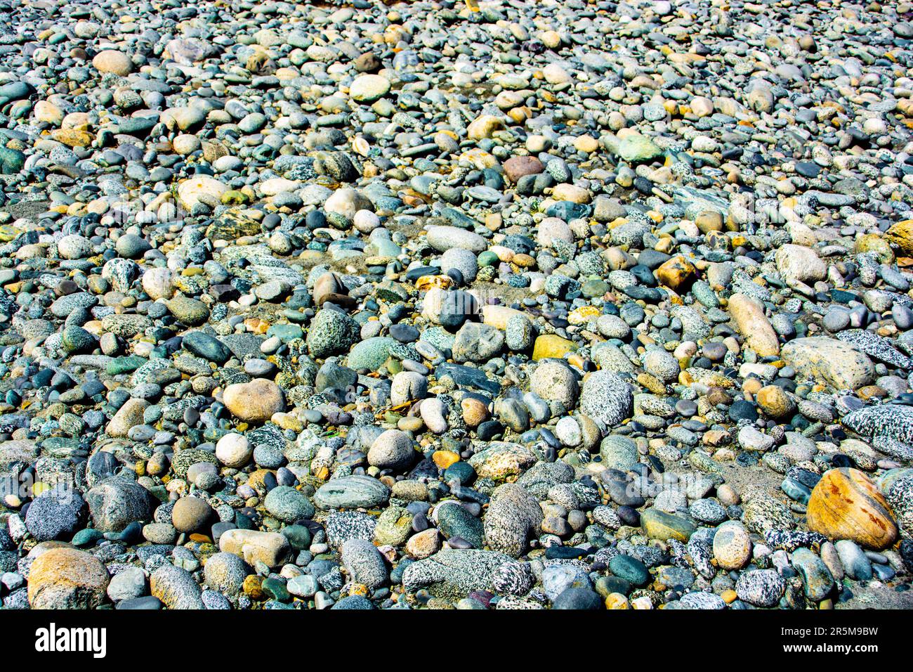 A pattern of multicolored stone in the river bed Stock Photo