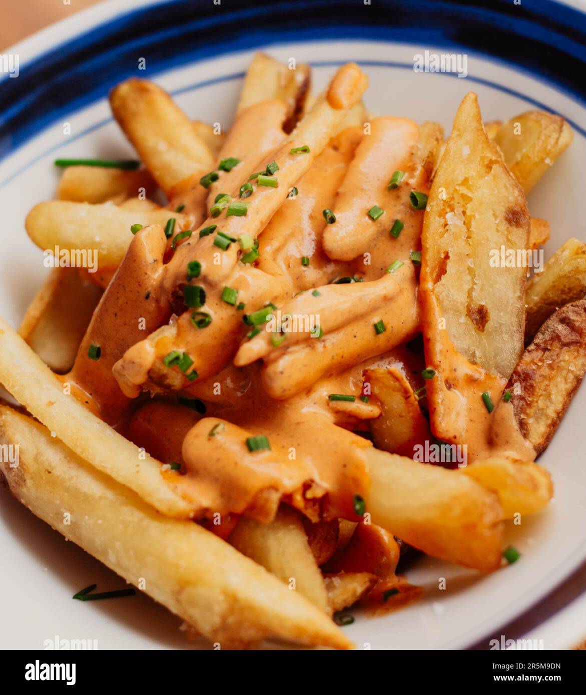 French fries with American style cheddar cheese Stock Photo Alamy