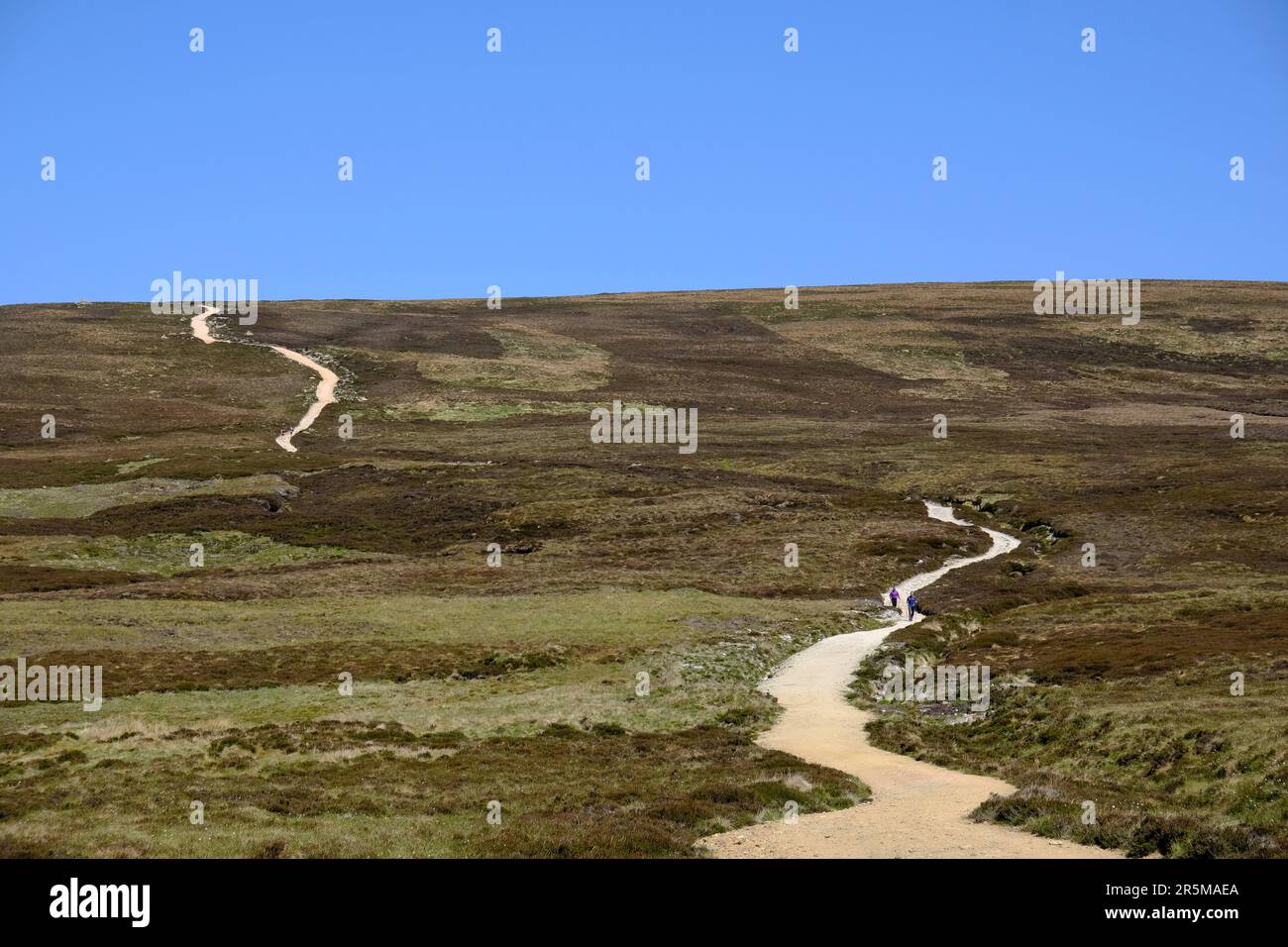 Hikers on the winding path up to munro Mount Keen, Angus Glens, Scotland Stock Photo